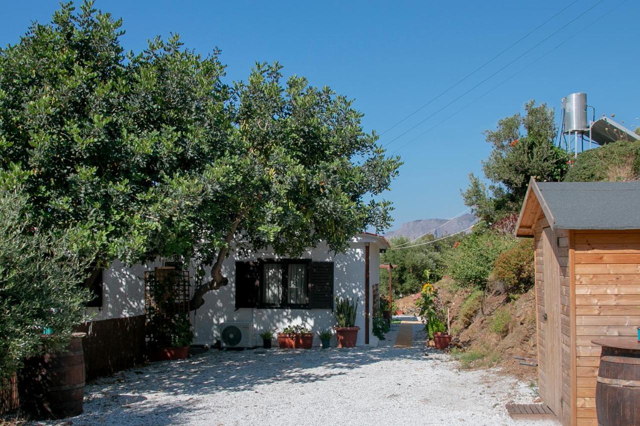 Summer Dream Cottage, 2Br, Beautiful Sea View Mochlos Buitenkant foto